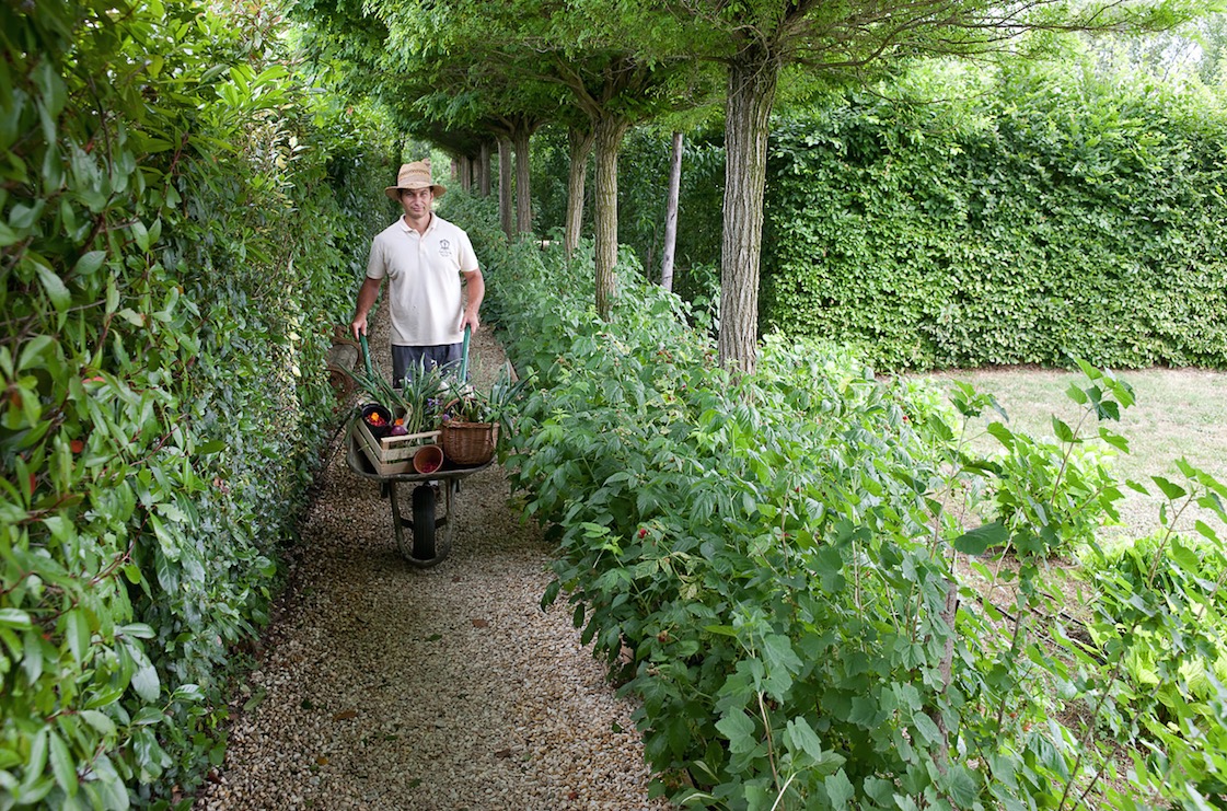 Vegetable gardening at award-winning boutique hotel Borgo Santo Pietro