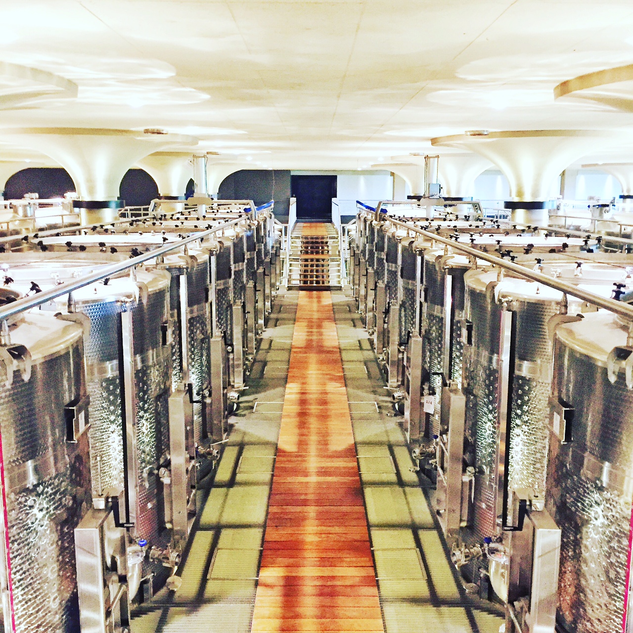 A winemaker's dream: the latest technology in the vinification cellars.