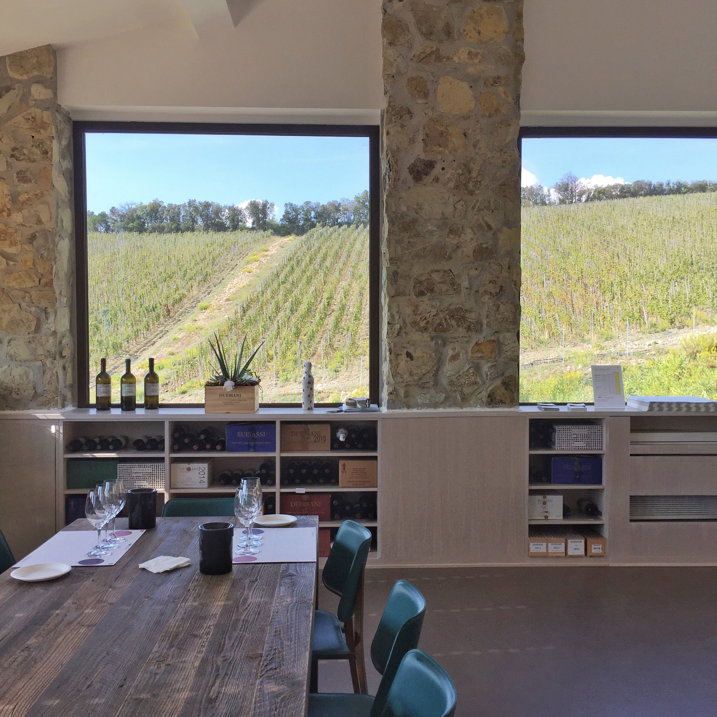 The new contemporary tasting room with a Cabernet Franc view at Duemani