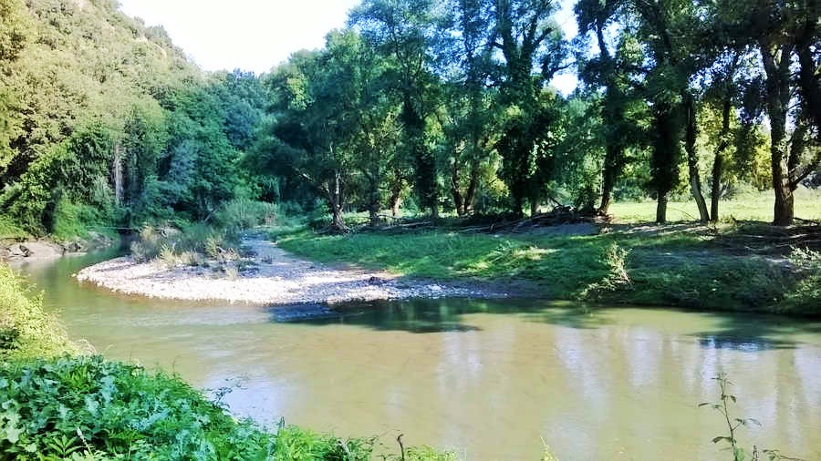 The Fiora river