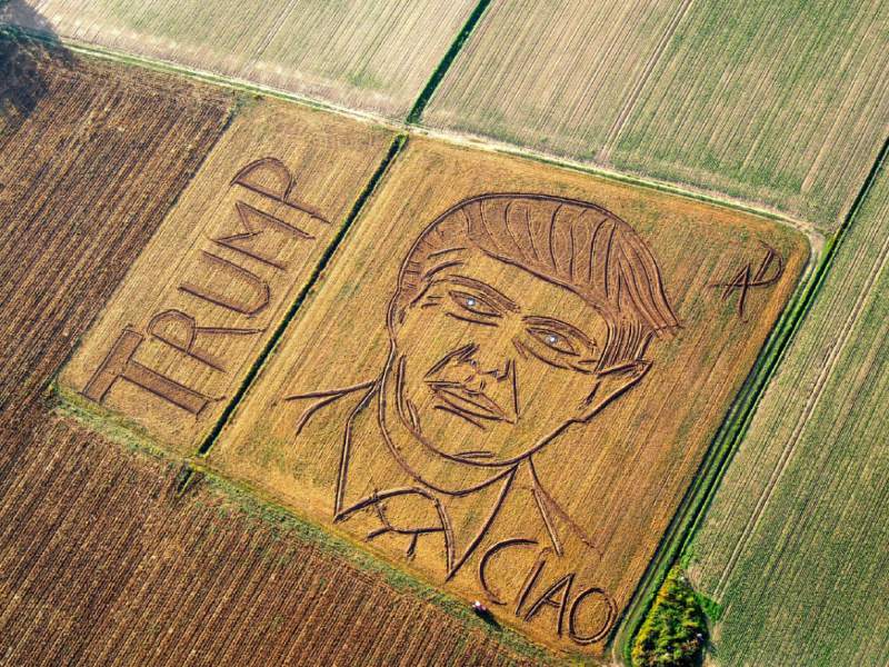 Grain Trump | Photo Dario Gambarin via AP