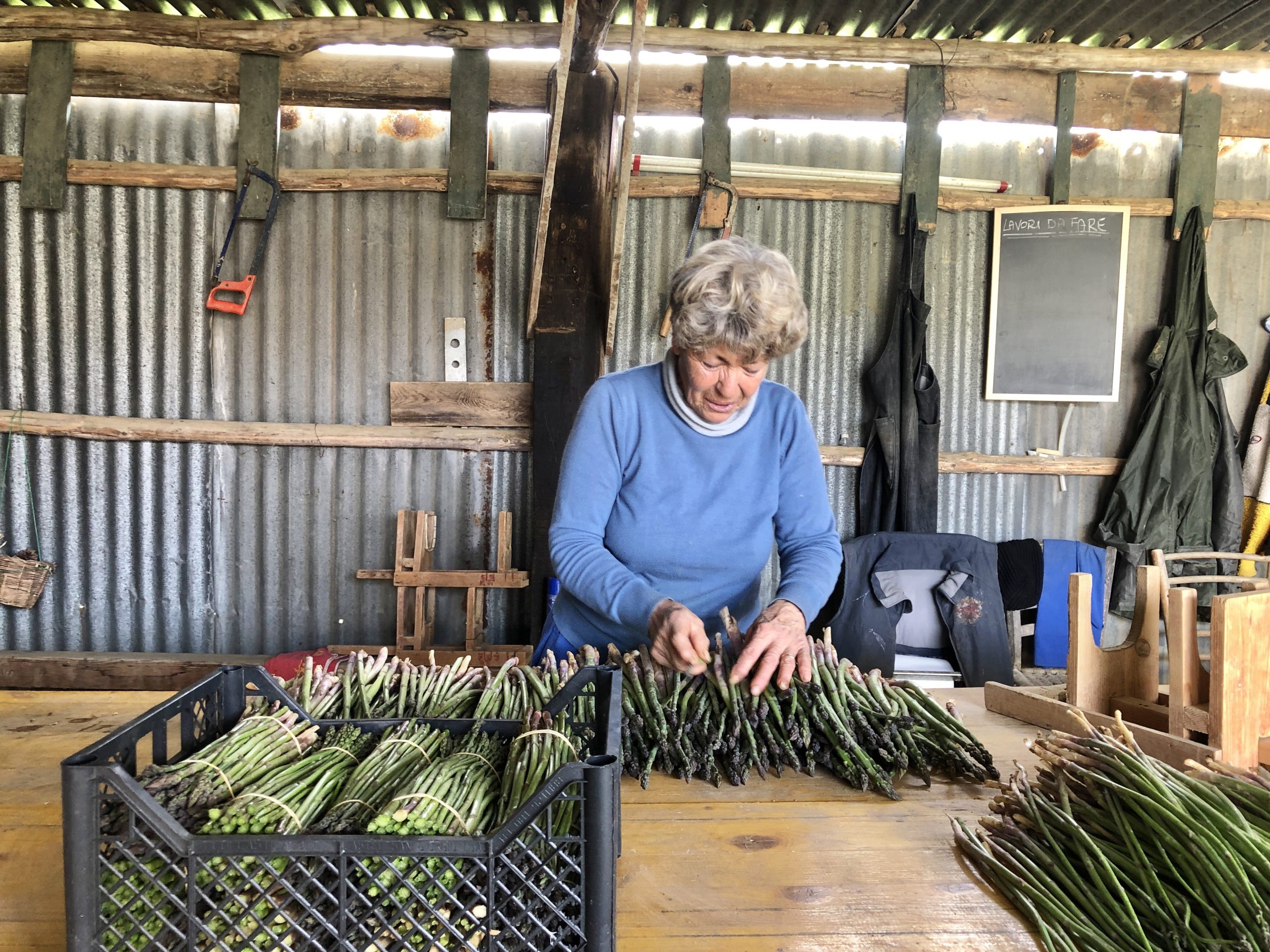 asparagus dealer