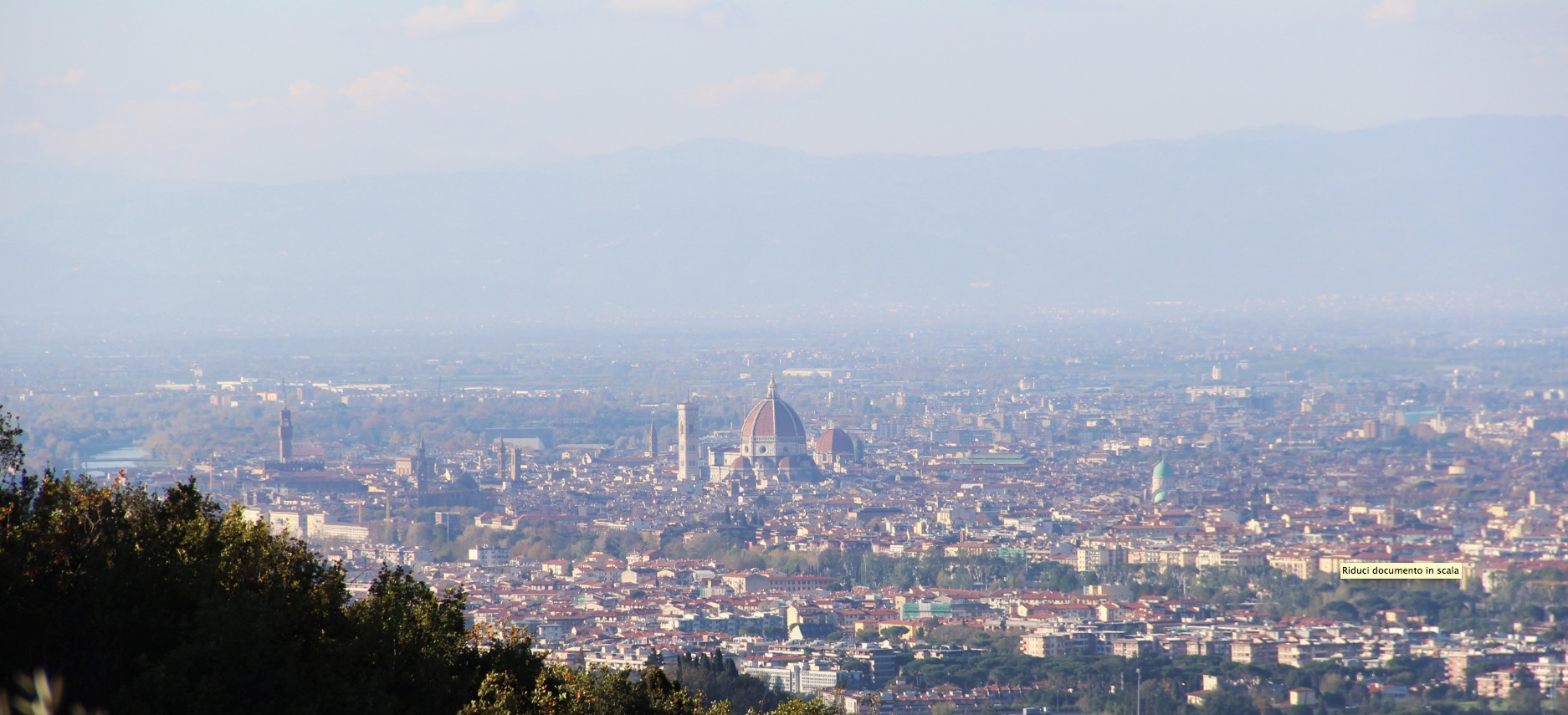 A view of Florence from L'Olivo Italiano