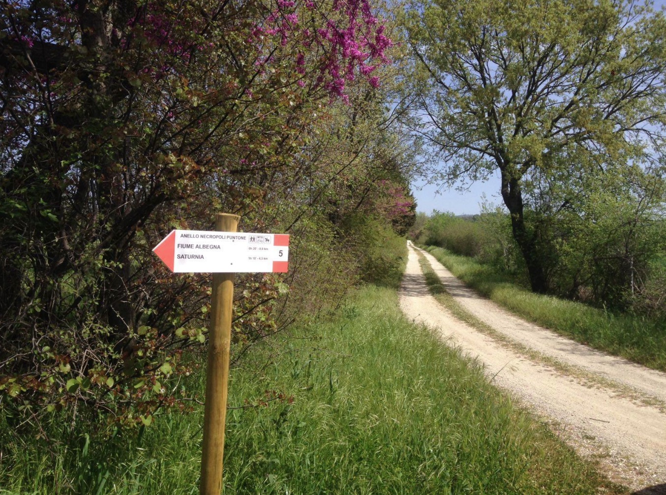 Check out the walking trails around Manciano