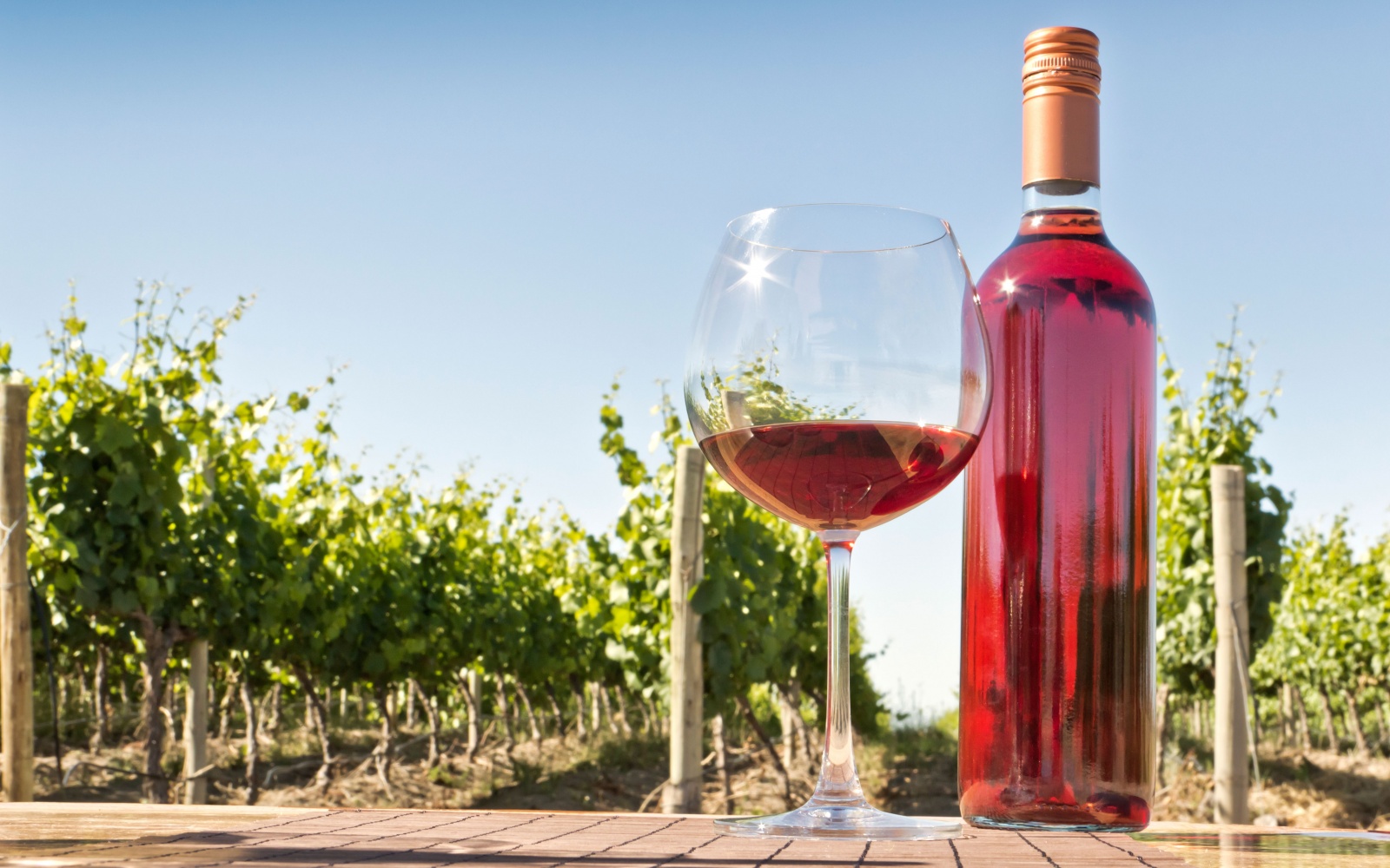 Rosé wines from Tuscany are perfect all year round.