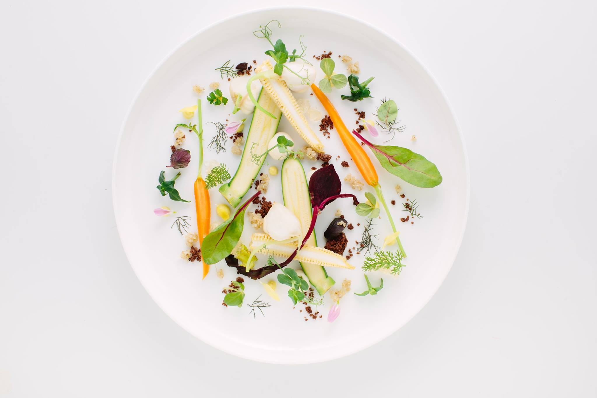 Spring garden: vegetables, cream, quinoa, sprouts, aromas and herbs with mayonnaise.