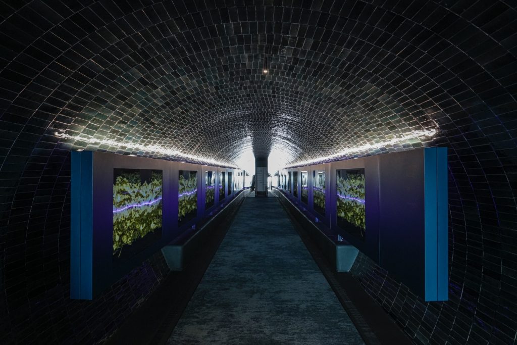 Rifugio Digitale: tempat perlindungan bom berubah menjadi ruang seni