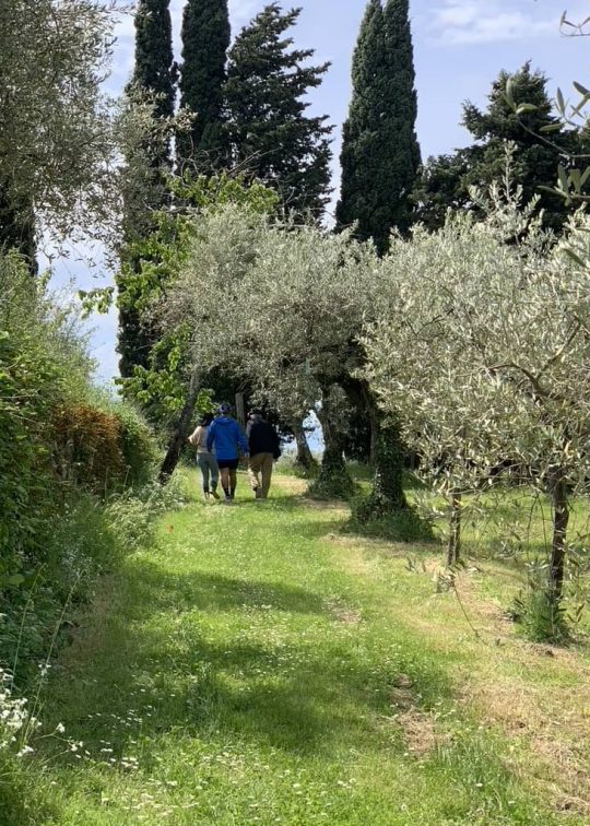 Hike in Fiesole