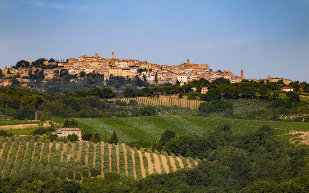 Montepulciano from Tenuta Calimaia