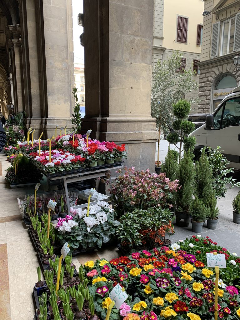 flower market Via Pellicceria