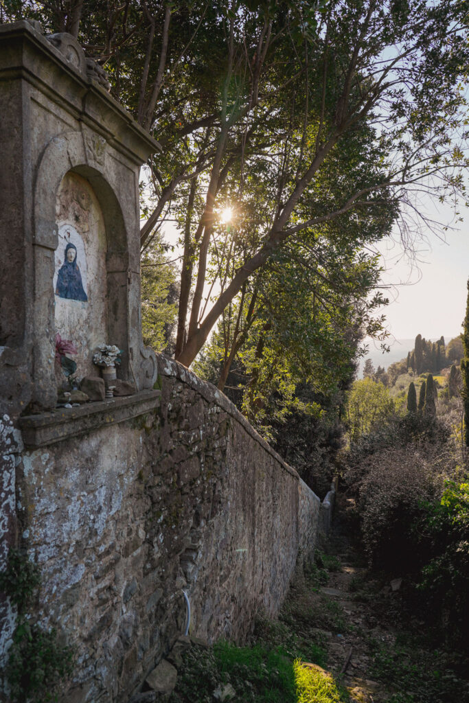 Montececeri ph Alexandra Korey