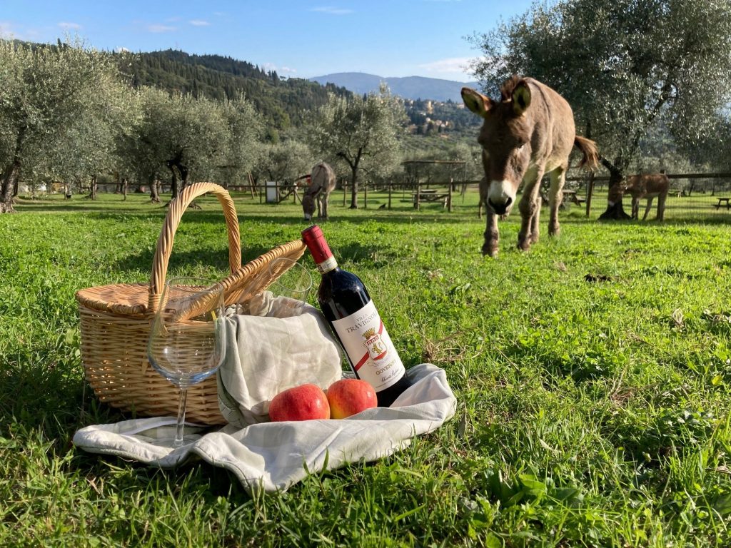 Head for the hills for a Tuscan picnic for two on the grounds of a renowned local farm