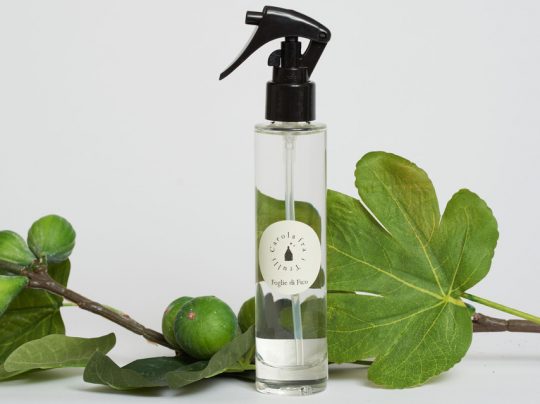 Carola tra i Trulli Fig Leavew fragrance