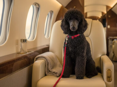 TuscanHound