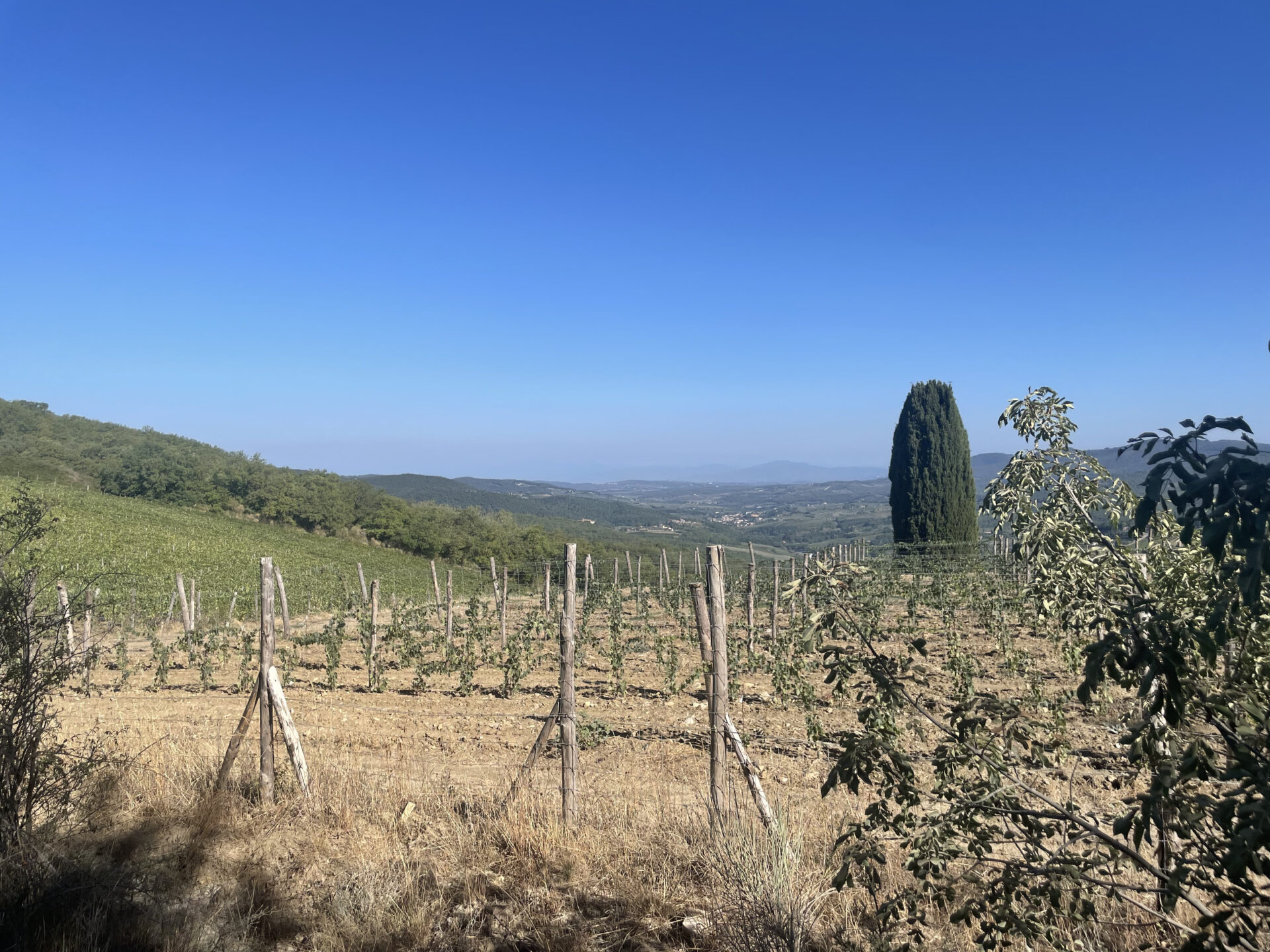 O que está escondido por trás do Chianti Classico